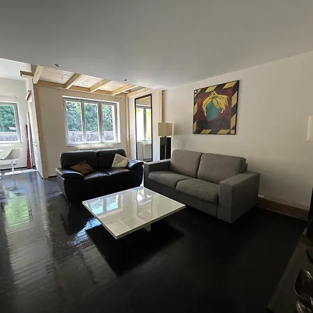 Spacious Karlin Lofty Apartment *
