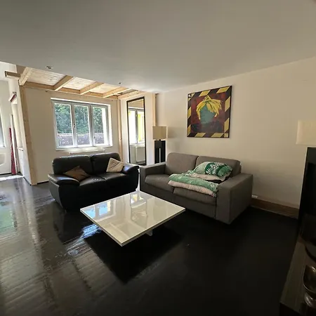 Apartment Spacious Karlin Lofty Prague