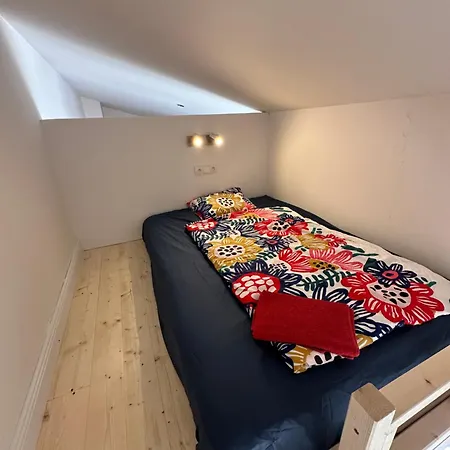 Spacious Karlin Lofty アパート *