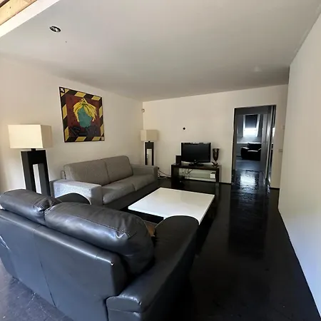 Spacious Karlin Lofty * براغ